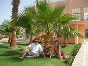 сидим под пальмой в отеле))