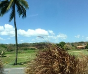 The Woods at Palmas del Mar