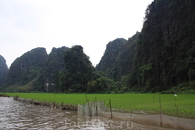 Рисовые поля Тамкока, через которые течет река.
