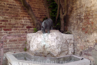Напротив церкви - фонтан с носорогом. Надо сказать, что все контрады носят названия животных: птиц, рыб и зверей...