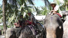 Экскурсия в провинцию  Кхао Лак - "Экзотические транспортные средства"