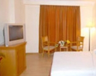 Pars International