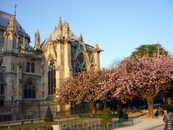 Cathédrale Notre Dame de Paris
Belle belle!!!!!!!!!!!!!!!!!!!!!!!!!!!!