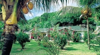 Фото отеля Coco de Mer & Black Parrot Suites Фото отеля Coco de Mer & Black Parrot Suites
