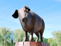 Cкульптура "Свинья"