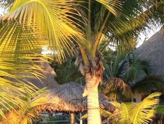 Casa Iguana Holbox Hotel