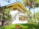 Фото Michelle Apt