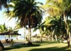 Фотография отеля Club Fiji Resort