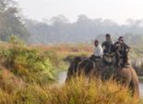 Gaida Wildlife Camp Lodge Chitwan