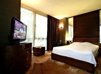 City Hotel Pleven