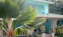 Фото Bedier Villa