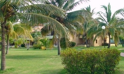 Arenas Doradas Arenas Doradas