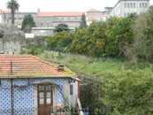 Мандариновые рощи в центре Порту.