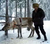 С вожаком оленьей упряжки Санты