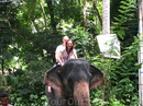 Пинавелла. Наш первый опыт катание на слонах. На верблюдах не так страшно.