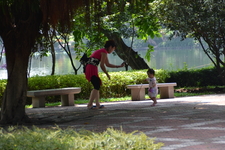 парк бонсай парк бонсай