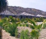 Balihai