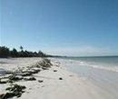 Фото Mbuyuni Beach Village Фото Mbuyuni Beach Village