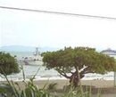 Фото Michaels Surfside Hotel