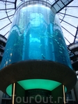 Огромный аквариум в Radisson Blue