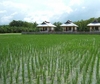 Фотография отеля Baan Janthai Фотография отеля Baan Janthai