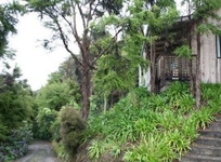 Akaroa Cottages