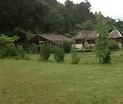 Many Home