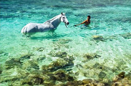 The Bay Hotel Mauritius