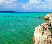 Aruba Bed & Beach