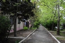Фото Волга