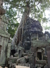 Ta Prohm