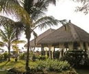 Фото Golden Palm Tree Sea Villas & Spa