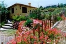 Фото Finca Uchan