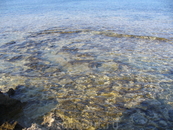 Чистейшая вода Средиземного моря