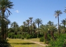 Фото Dar Qamar