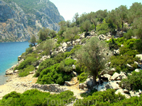 жители острова поели нашего хлеба и прячутся в тени жители острова поели нашего хлеба и прячутся в тени