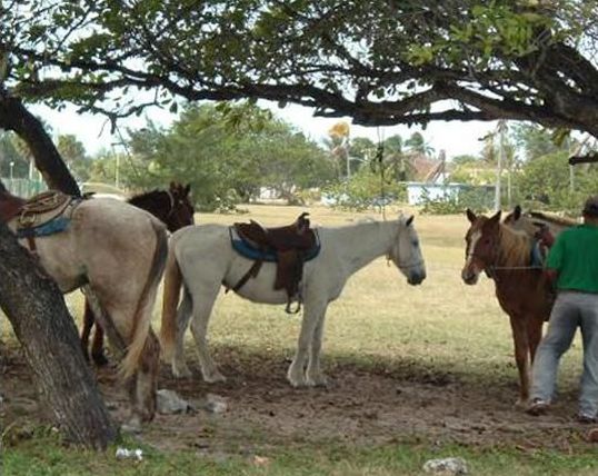 Club Amigo Mayanabo