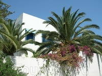 Сиди-Бу-Саид. Город, окрашенный в бело-голубые цвета.