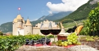 Праздник сбора винограда в Румынии