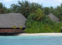 Vilu Reef Beach & Spa Resort