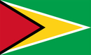 Подробности получения визы в Гайану. Виза Гайана