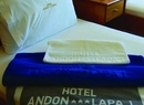 Фото Andon Lapa I Pare Hotel