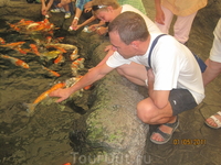 с карпами с карпами