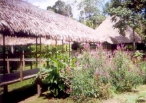 Cumaceba Lodge