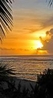 Фото The Cooks Oasis Holiday Villas Rarotonga