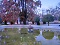 Здесь же растет и самое старое дерево в парке и в городе – разновидность кипариса -
таксодиум мексиканский. Он был посажен приблизительно в 1630–1640 годах ... Здесь же растет и самое старое дерево в парке и в городе – разновидность кипариса -
таксодиум мексиканский. Он был посажен приблизительно в 1630–1640 годах ...