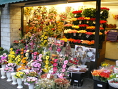 цветочный магазин. много-много рождественских венков