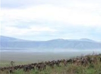 Lemala Ngorongoro Camp