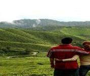 Cameron Highlands Resort