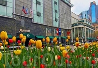 Фото отеля Chicago Marriott Downtown Magnificent Mile